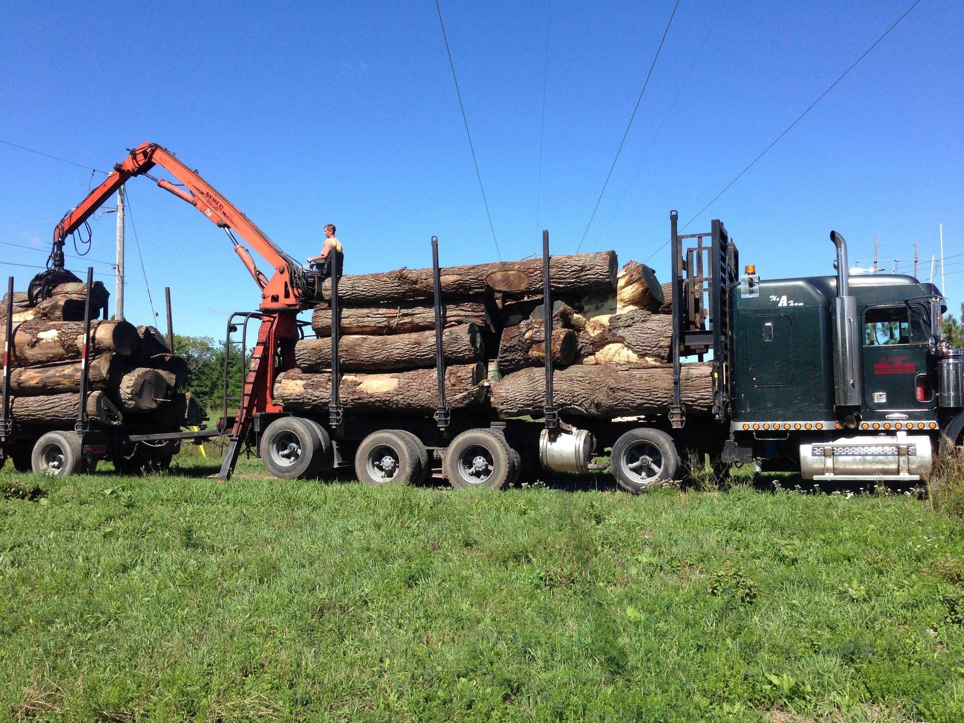 New Canadian Oak Barrels - The County Cooperage