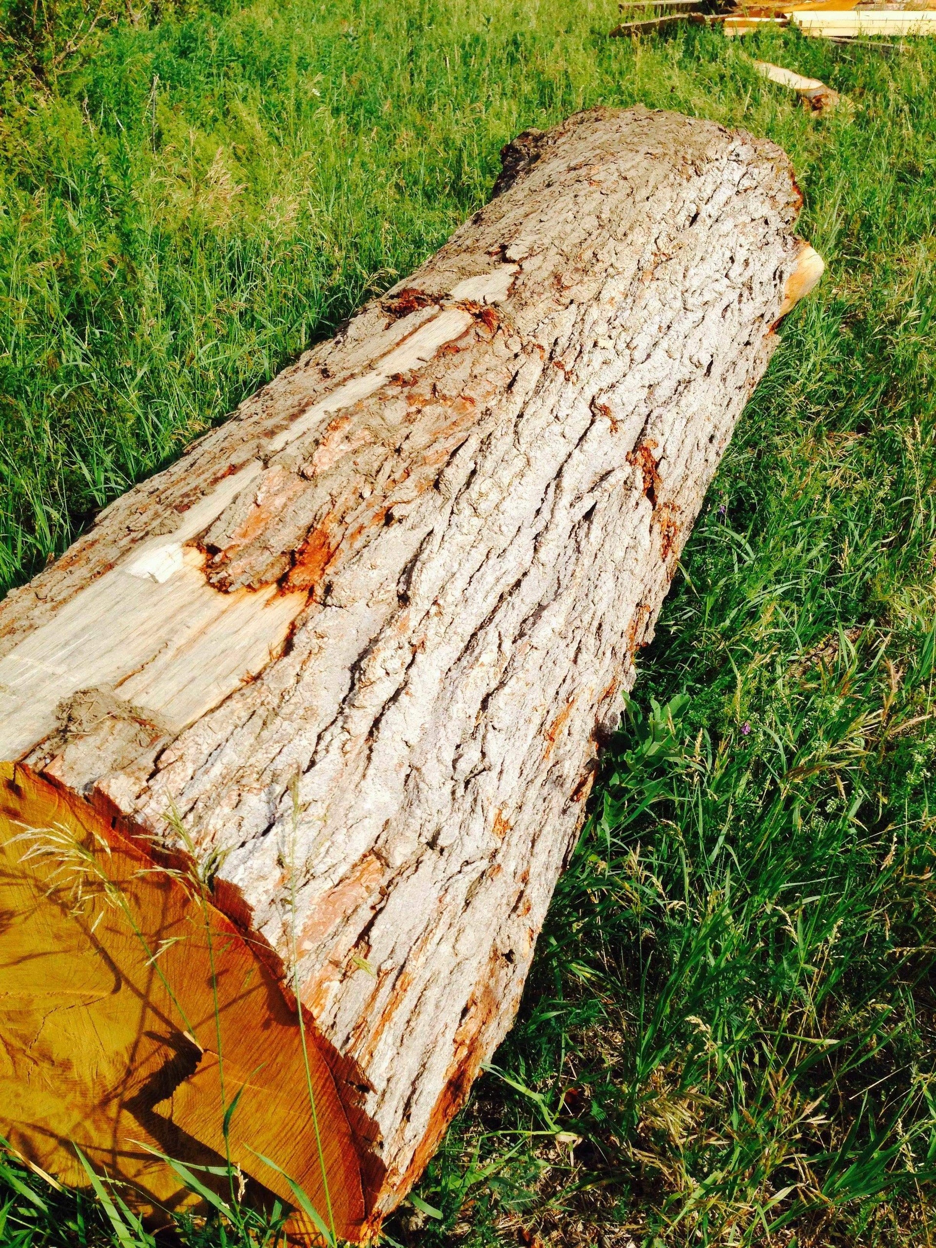 New Canadian Oak Barrels - The County Cooperage