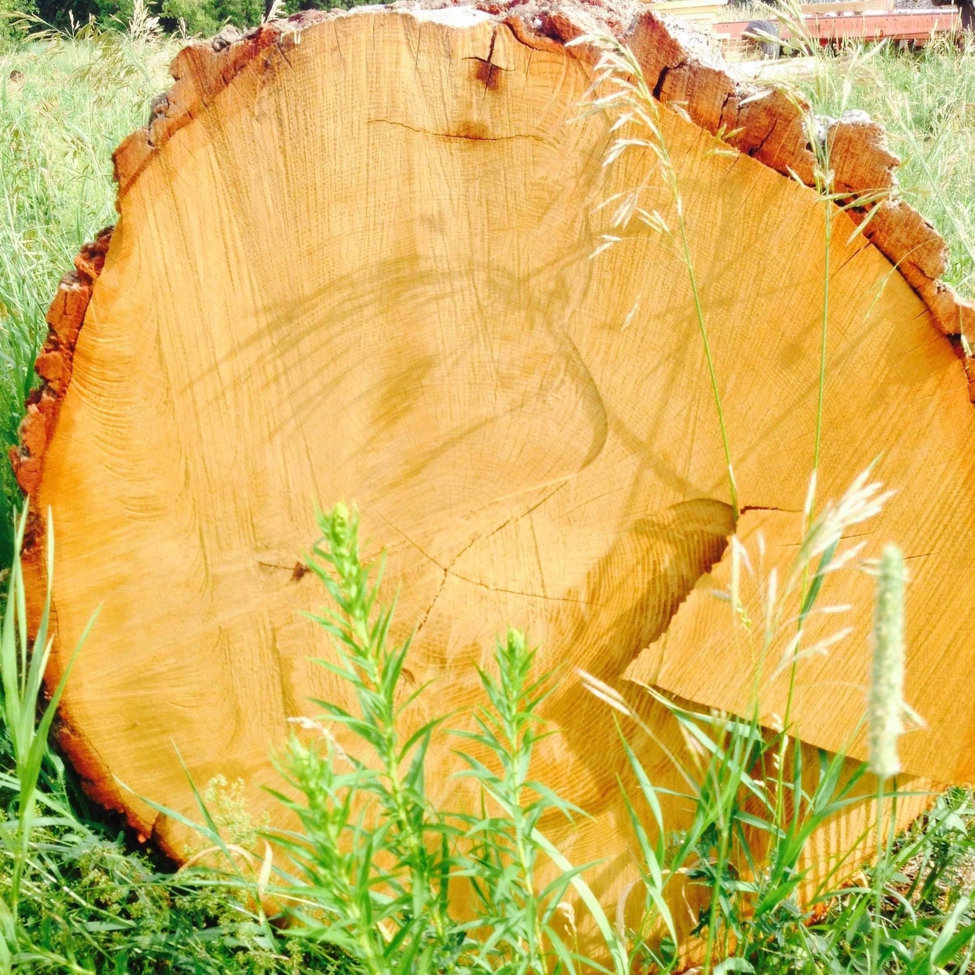 New Canadian Oak Barrels - The County Cooperage