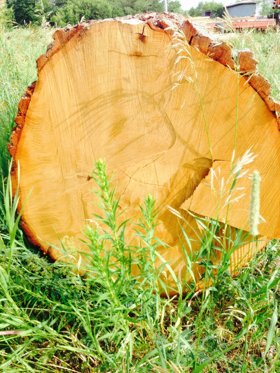 Oak Barrels The County Cooperage